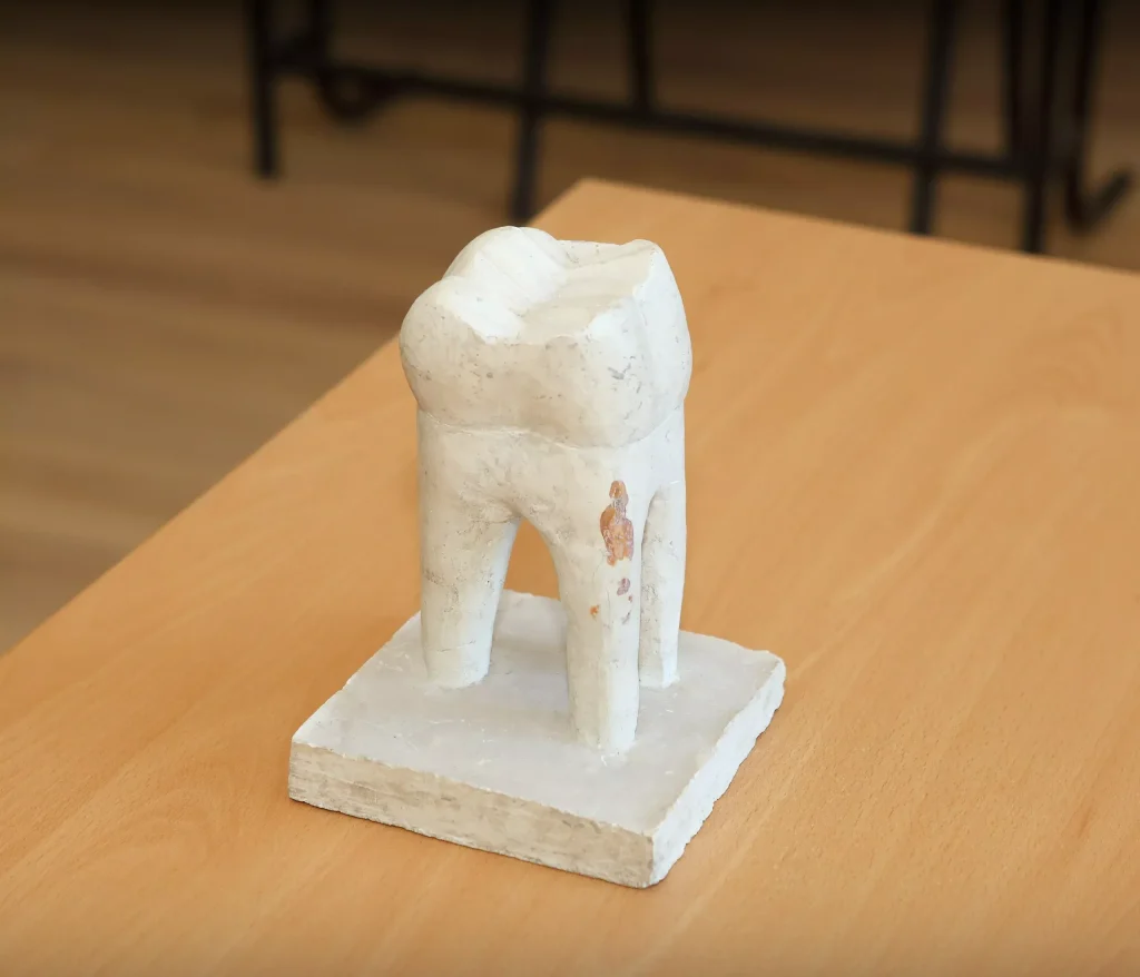 61 кандидат-студенти на изпита по скулптиране